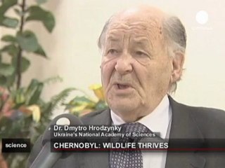 Las golondrinas resisten mejor de lo que se esperaba a...