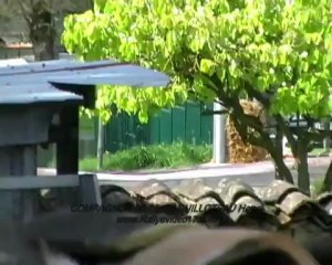 Rallye de la Guirlande 2012