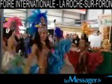 FOIRE INTERNATIONALE -  LA ROCHE-SUR-FORON