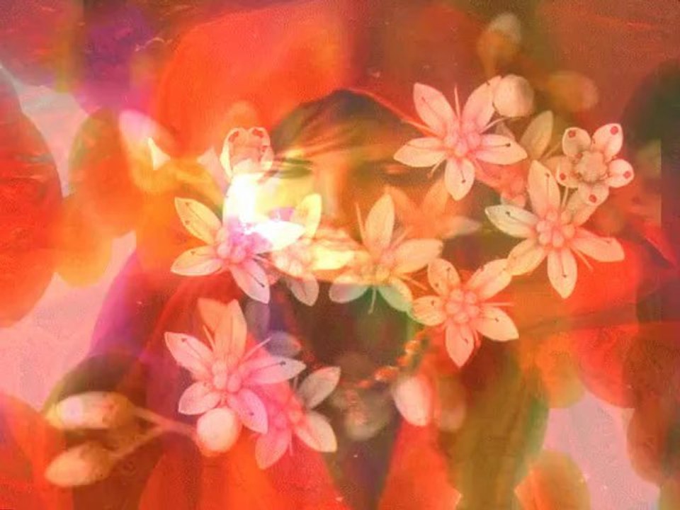 La mujer de las flores