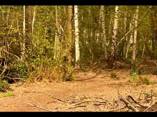 de achtervolging kortfilm