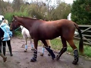 Anais tess anne so eclaire debarquement