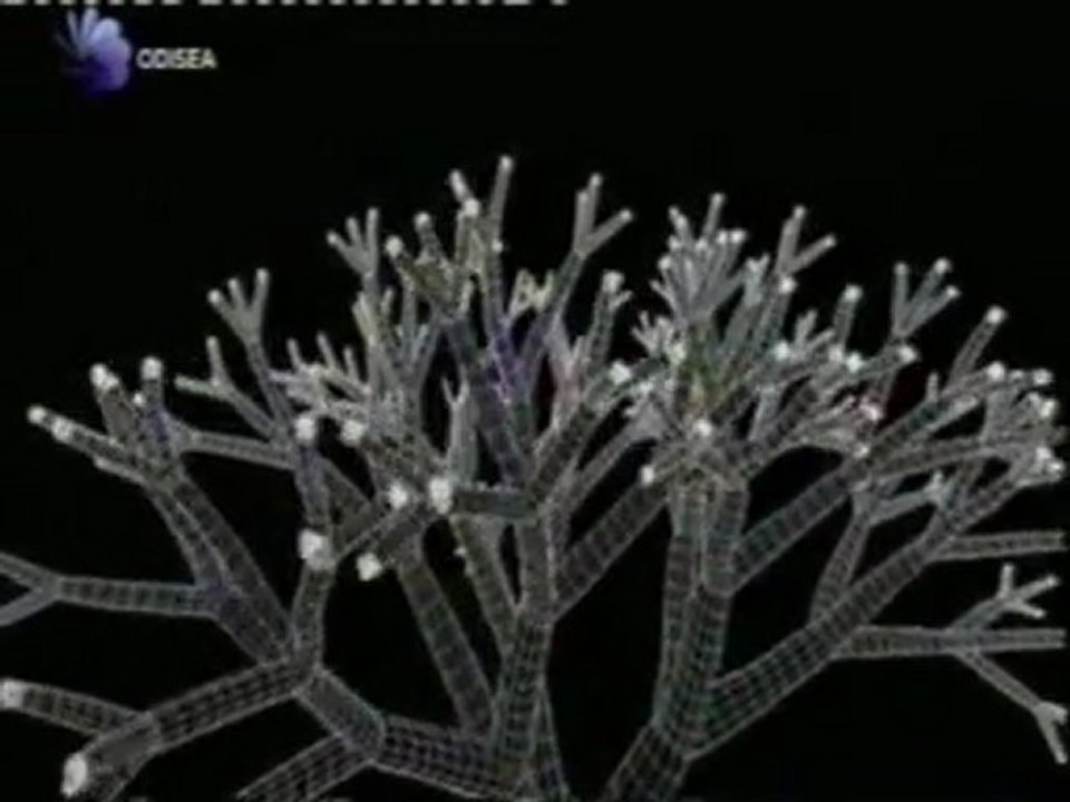 Naturaleza fractal