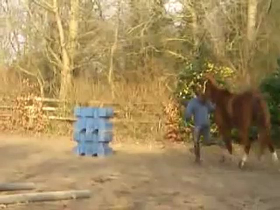Vidéo0004