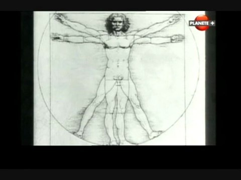 Pales et rotors (La guerre du Golfe)