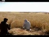 Sporchi soldati israeliani sparano a due contadini che vanno a procurarsi un po' di grano nei campi.