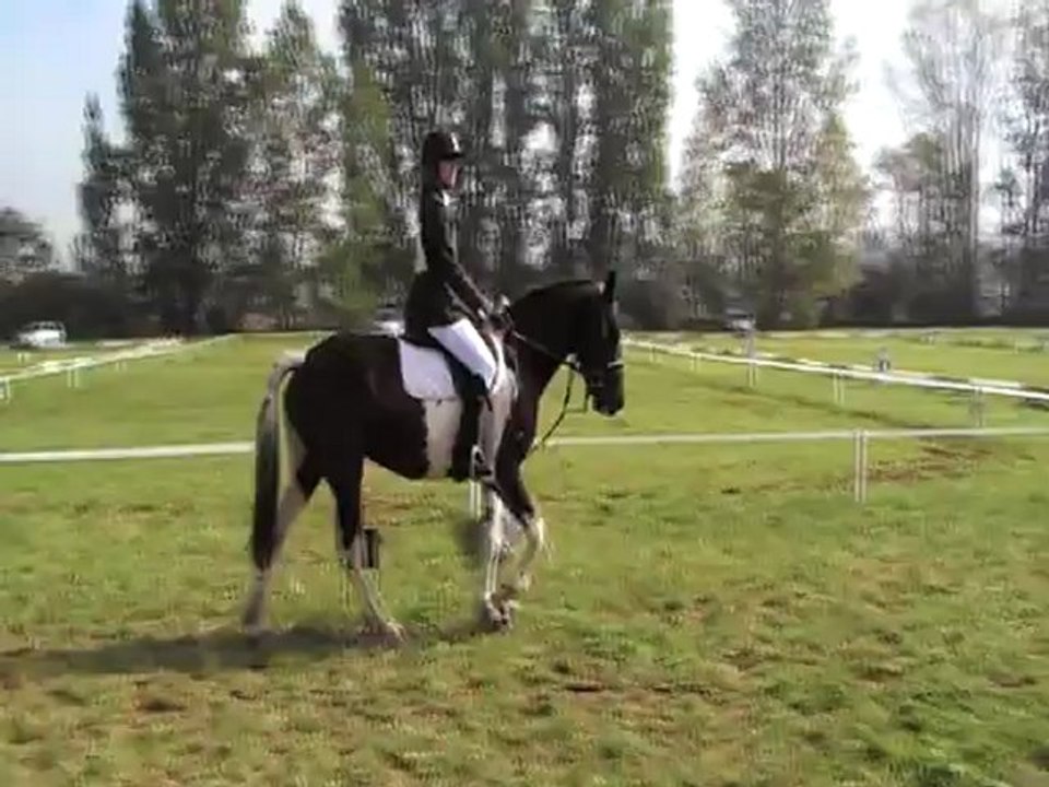 CHAMPIONNAT DEPARTEMENTAL 2012 - DETENTE -DRESSAGE