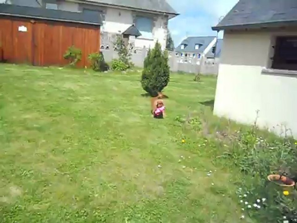 Robby et le cochon rose (5)