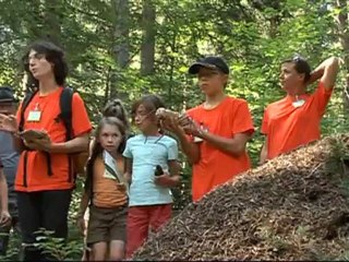 Rallye  fourmis des bois - CPN Renardeaux de Pinet