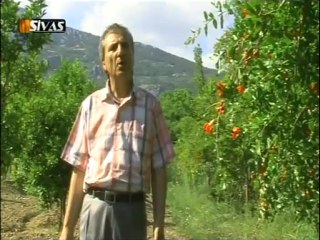 Sivaslıymış - Ali Çınar