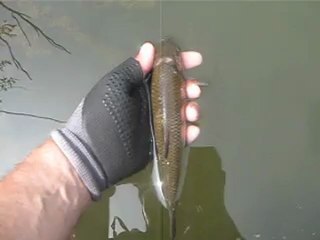 01 mayıs 2012 kasna suyuna