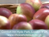 Comfort Inn Hyde Park, UK. Explore the hotel with the General Manager