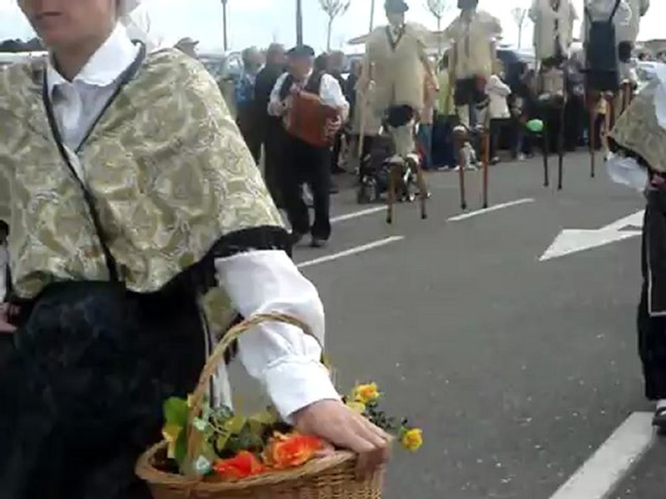 Echassiers 1