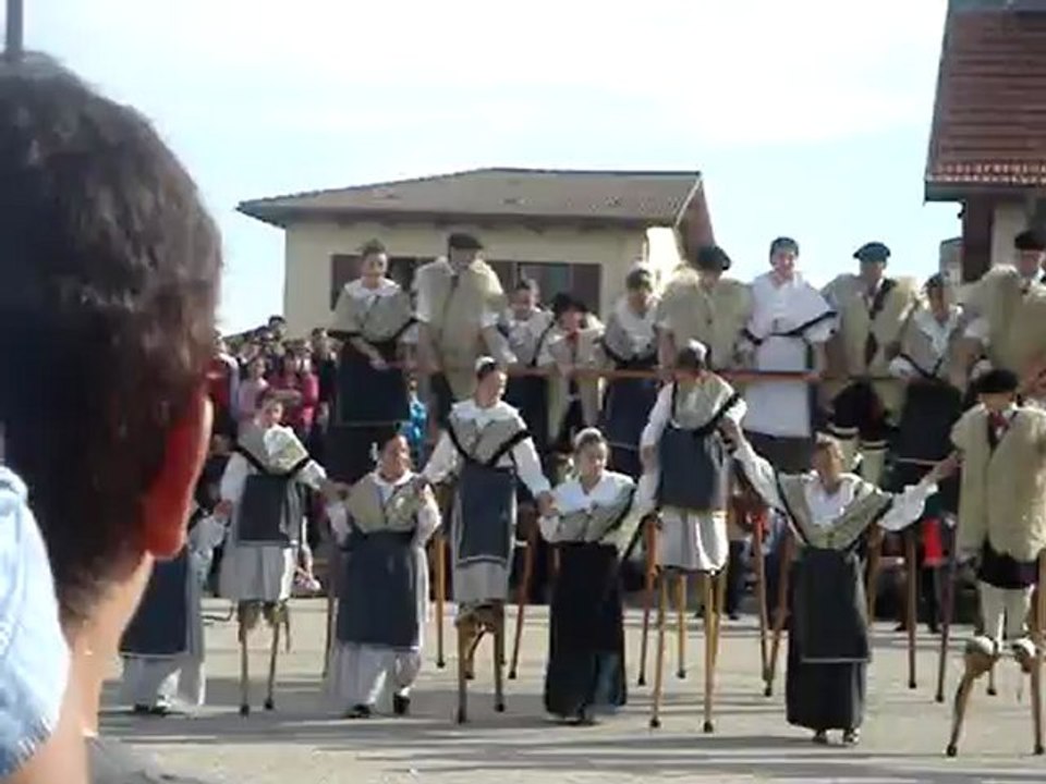 Echassiers 4