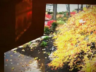 Naturescapes Landscape Design Wayne PA