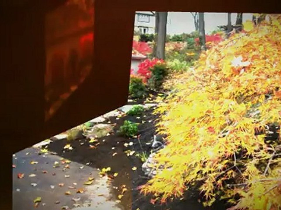 Naturescapes Landscape Design Wayne PA