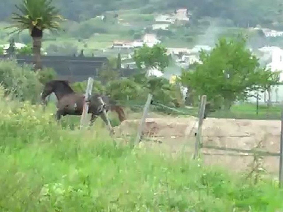 bonjoursbinou