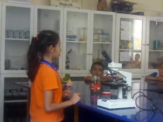 KADRİYE NUR KARAMAN-BAKTERİLER