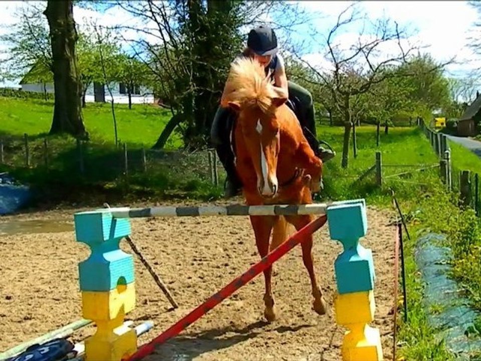 Maya, obstacle en cordelette ♥