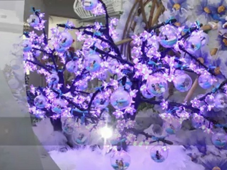 Boutique Les dragees colchiques prés de Marseille 13