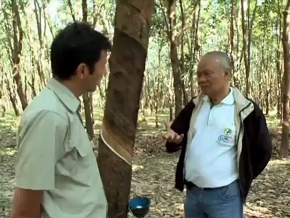 Documentaire Asie voix off stephankalb.fr