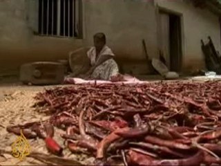 Casualties of Sri Lanka's conflict -28 March 08