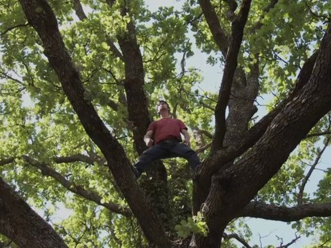 JE FAIS FEU DE TOUT BOIS - Bande-annonce VF