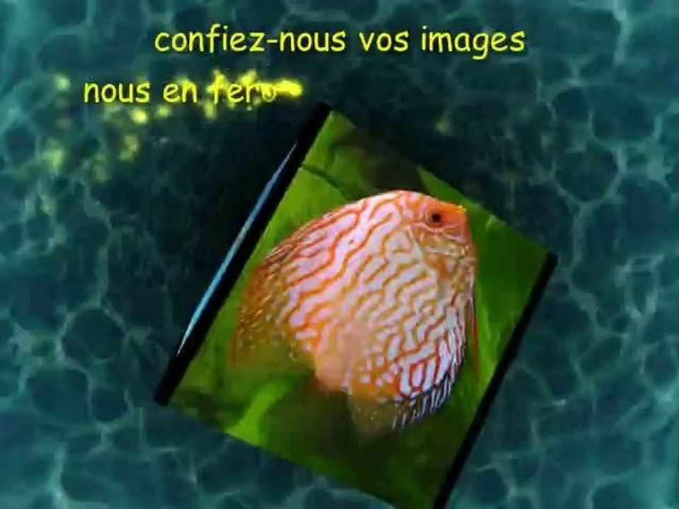 Multimedia-Productions: Présentation