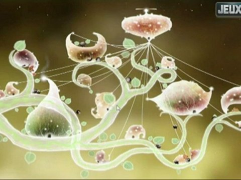 Botanicula, Le Test (Note 17/20)