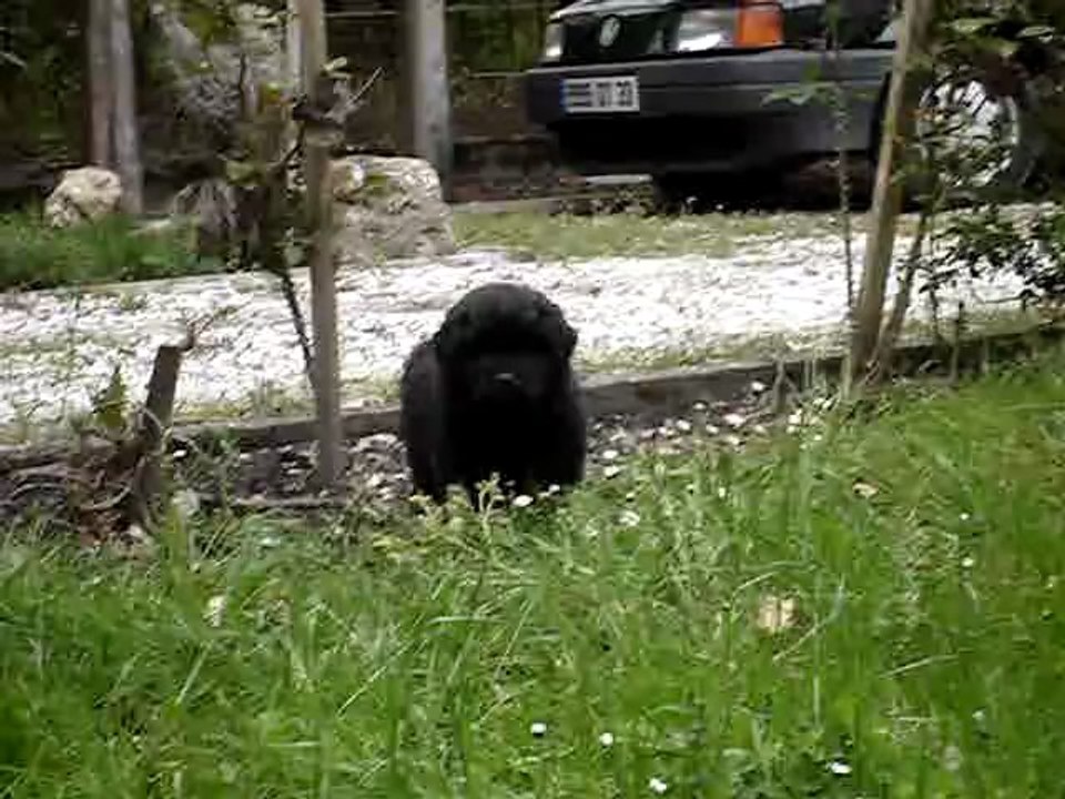MOV04022