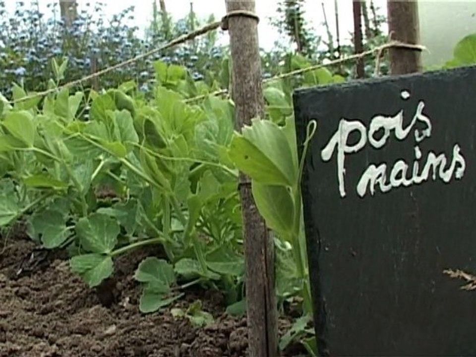 Les jardins familiaux quimpérois