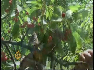 Slim hopes for Kashmir peace process -21 May 08