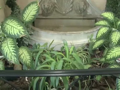 Hotel Stoney Creek Hamilton Monte Carlo Inns