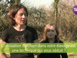 30 mars 2012 - Formation des chiens de troupeaux