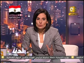 a07 وزير الزراعة= يمكن تحقيق الاكتفاء الذاتي من قمح الخبز