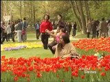 Fête des tulipes 2012