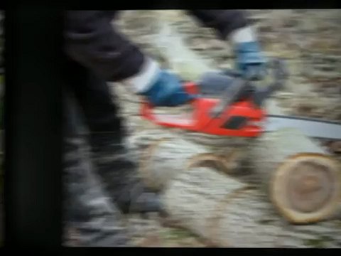 Eager Beaver Tree Service - (651) 235-8162