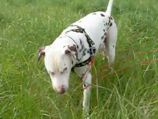 2 MAI EOL DANS LES CHAMPS