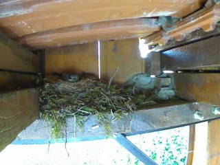 LMR S191840.5654480+0200 D7933 A665 F33 E