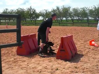 marche sommerviller mai 2012 021