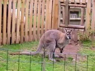 Witness - Bama's journey - 31 July 08 Part 2