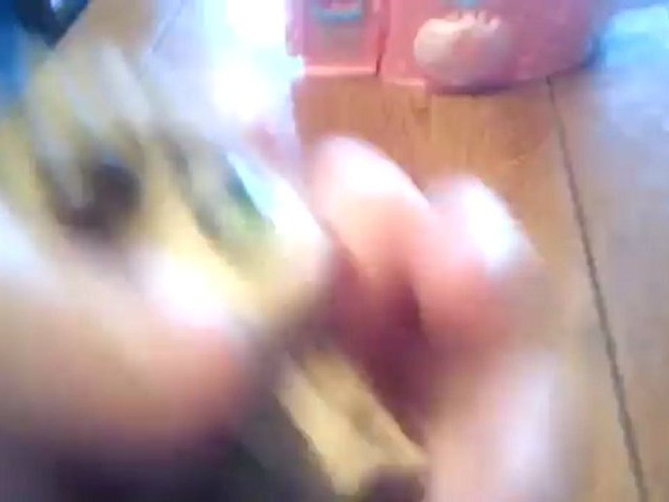 LPS:le plus beau ou moche petshop