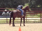 Vista 2 months under saddle