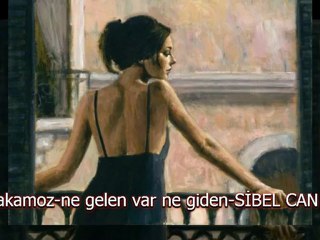 sibel can - ne gelen var ne giden