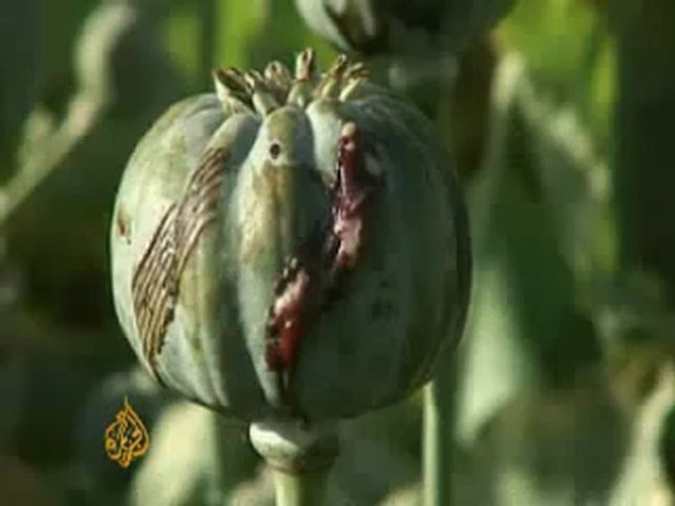 Afghans resorting to heroin