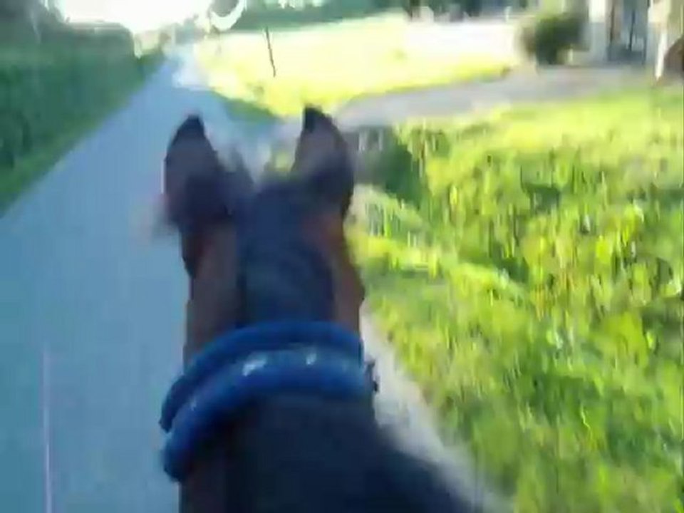 GEDC3295