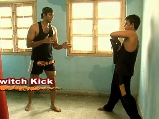 Deadly Art : Switch Kick