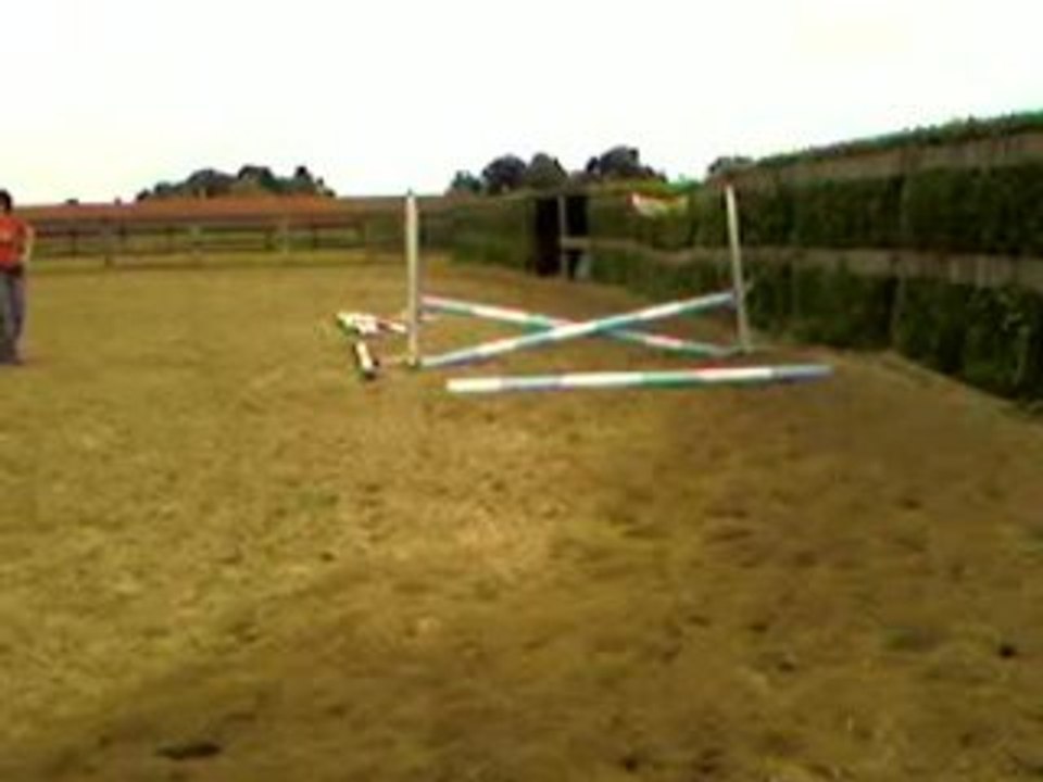 Cours d'obstacles à l'aventure