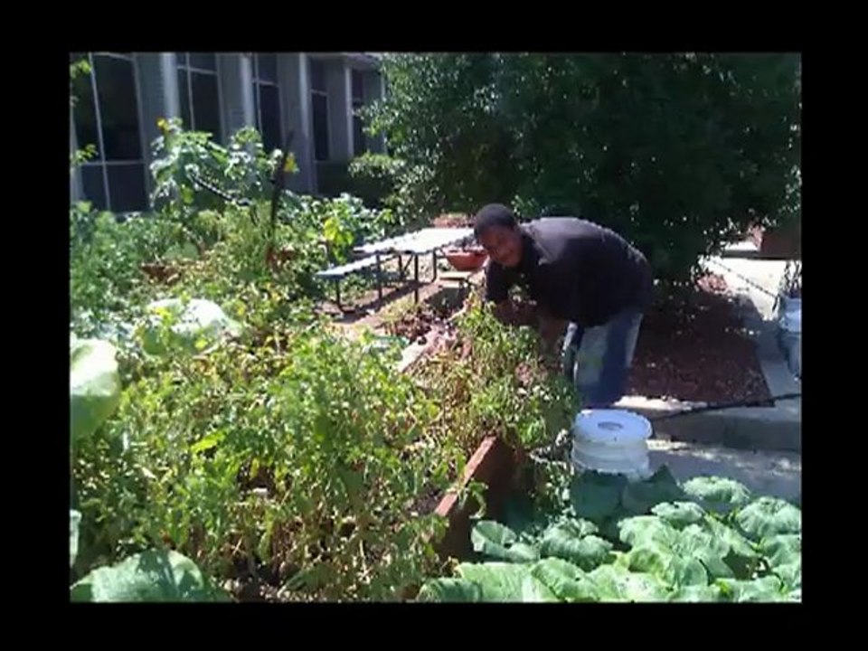 Lamon's STEM Video