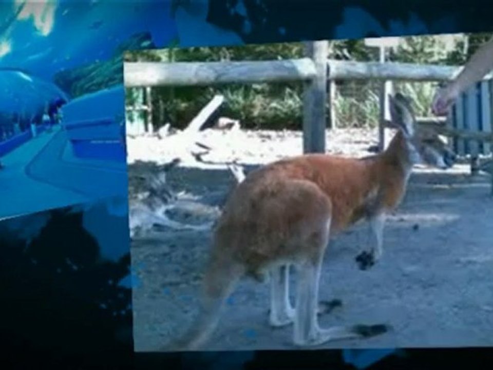 Regal Apartments - Holiday Apartments for ALL